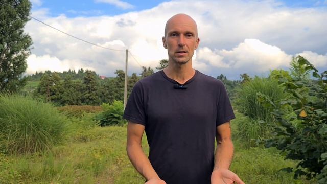 ❓ПОЧЕМУ Роза выбрала Джека. Женская прихоть?🎥Фильм Т смотреть онлайн