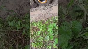 Квадроцикл 200 кубов motoland ALL ROAD X