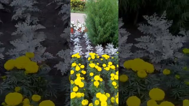 #Ковёр разноцветный#Подписывайся#Лайк#Поделиться# смотреть онлайн