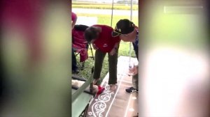 Смех до слез |  Лучшие приколы 2021 Февраль | Best Coub 2021 #12