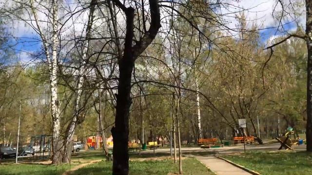 Мой метрогородок