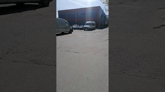 Опять дворы