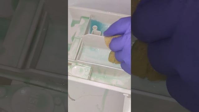 мою лоток стиральной машины #мотивациянауборку #cleaning # смотреть онлайн