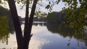 Московская область | Подмосковье | На скутере