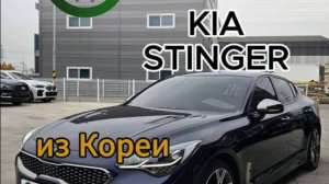 Четкий Stinger для Ильи 😎