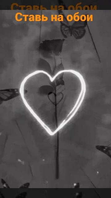 прикольное видео на обои ❤🍷 смотреть онлайн