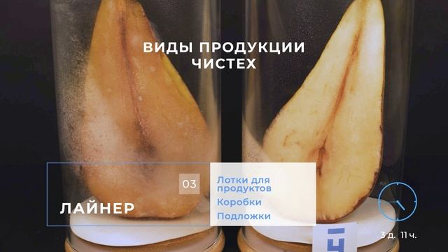 Антибактериальная упаковка Чистех. Эксперименты