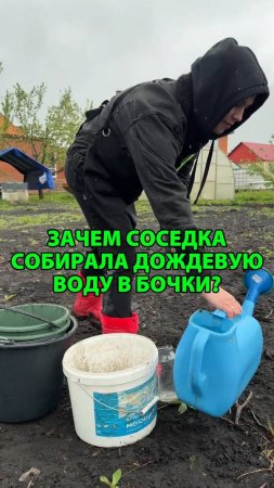 Зачем соседка собирала дождевую воду в бочки