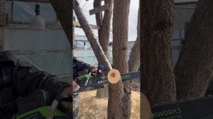 Аккумуляторная цепная пила GREENWORKS 82v GC82CS25