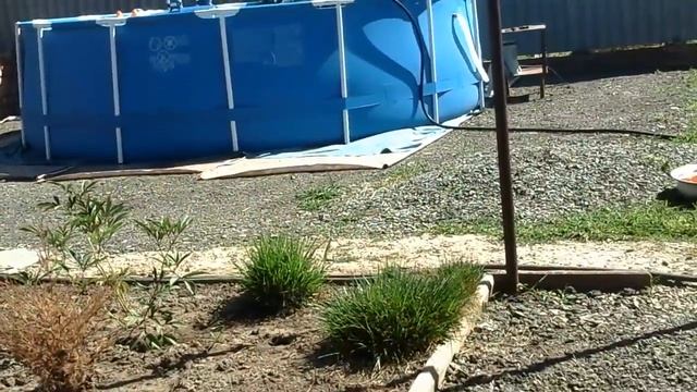 Бассейн Intec смотреть онлайн