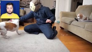 СОБАКИ против СЛЕНДЕРМЕНА в РЕАЛЬНОЙ ЖИЗНИ🔪🐶ПРАНК СЛЕНДЕРМЕН vs СМЕШНЫЕ СОБАКИ😱Slenderman ДРУГ СОБА