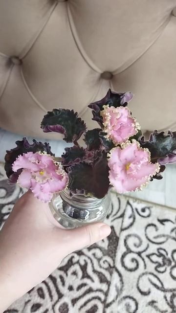 Мт Пески времени смотреть онлайн