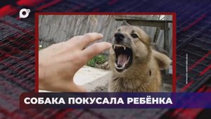 В порядке! / дело о хищении / Прокуратура взяла на контроль / 20.05.25