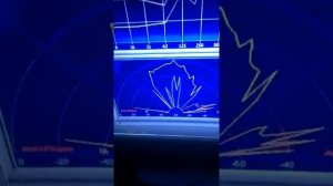 Чужие среди нас