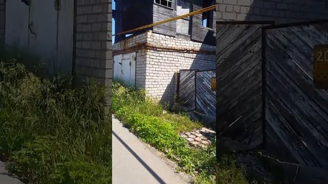 Трешь про грени не верьте слухам!!!!!!???? смотреть онлайн