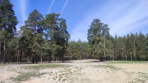 Суббота, велосипед и озеро.