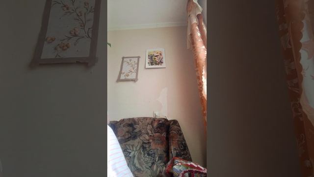 Обзор подарков на день рождения смотреть онлайн