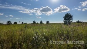 Придя в суд Василиса протянула мужу конверт. А едва от?