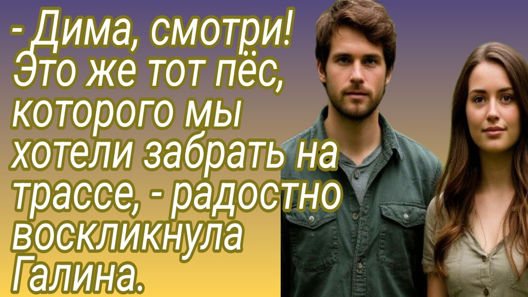 Рассказ/- Дима, смотри! Это же тот пёс, которого мы хотели забрать.. /Истории из жизни/Аудиокнига