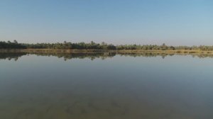 Фламинго в раю: озеро Сива в высоком разрешении