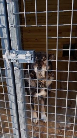 Джине не повезло родиться ОБЫЧНОЙ