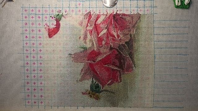 Французские розы/ 17% готовой работы #вышивка #embroidery  #мн