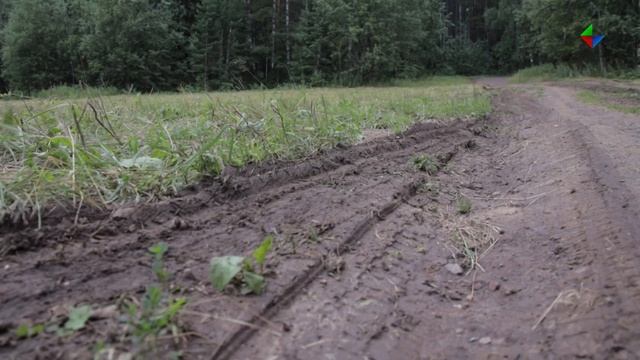 Как квадроциклы вспахивают «Журавлик»