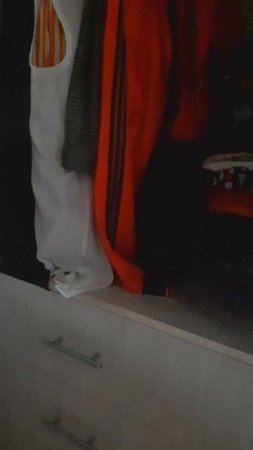 Смешные коты Лайк #интересныеистории#котыикошки#домашниепитомцы
