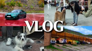 ХВОСТАТЫЙ VLOG // УРОК ДРИФТА В АНОМАЛЬНУЮ ПОГОДУ / ВЫСТАВКА СОБАК 2025