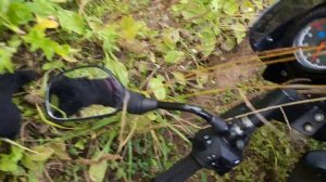 Bajaj Pulsar 180 после 2500 км + мысли вслух