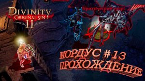 ПРОХОЖДЕНИЕ, МОРДУС►Divinity Original Sin 2►13