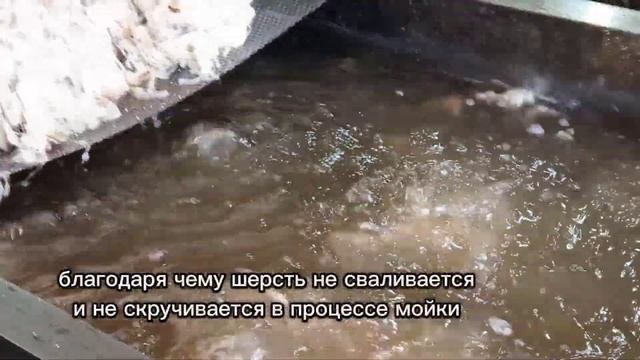 Первичная Обработка Шерсти
