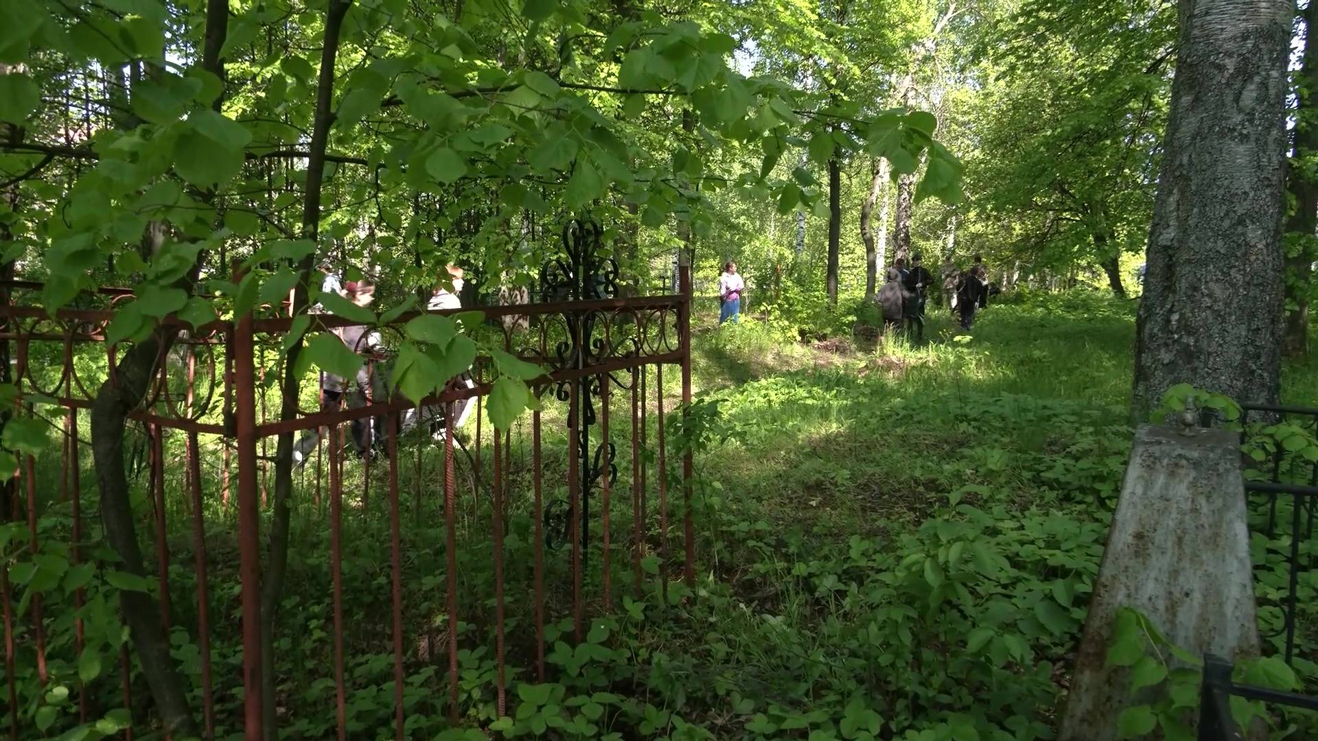 Волонтеры привели в порядок захоронения на старом Семёновском кладбище смотреть онлайн