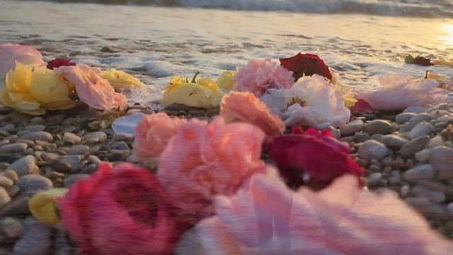 Ветер с моря дул (Натали) - моя версия на пляже в купаль? смотреть онлайн