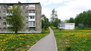 Цветущее Сафоново