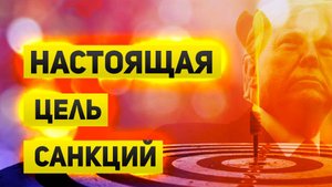 Настоящая цель и влияние санкций. Итоги переговоров Путина и Трампа.