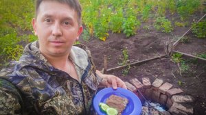 Как приготовить мясо в фольге на костре \ Сочный шашлык в фольге на костре