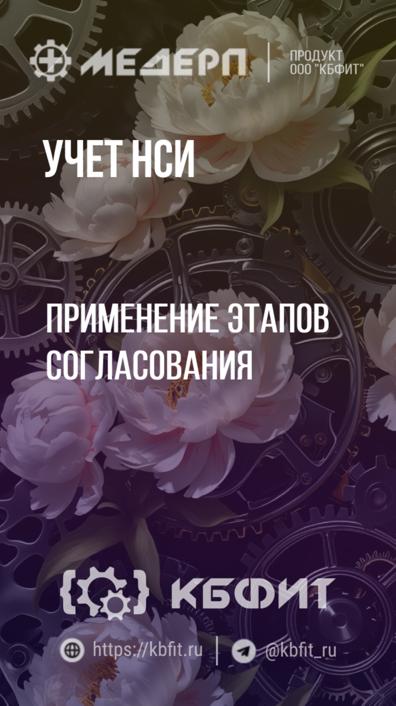 КБФИТ: МЕДЕРП. Учет НСИ: Применение этапов согласования