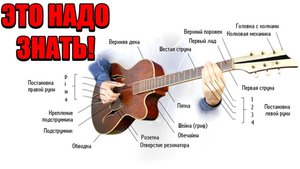 Устройство гитары. правильные названия частей гитары
