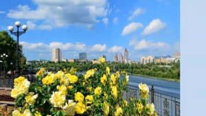 Донецк - город миллиона роз