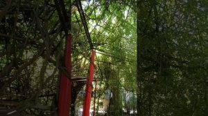 Через двадцать лет.
