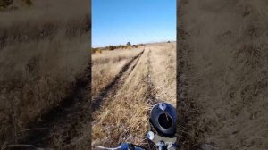 Иж49 по полям. Работа двигателя cdi зажигание холостойхо