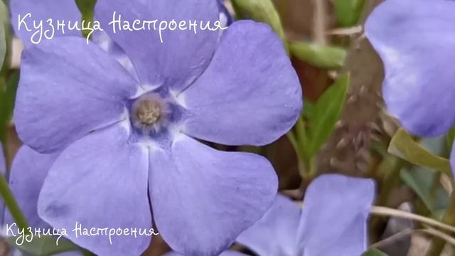 6 мая Юрьев День. Что нельзя делать 6 мая Юрьев День. Нар