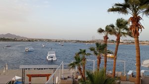 Lido Sharm Hotel 4*, Маленький рай у моря, Sharm El Sheikh, 24-30.04.2025г., ч.2