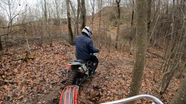 Progasi palma 250 тест смотреть онлайн