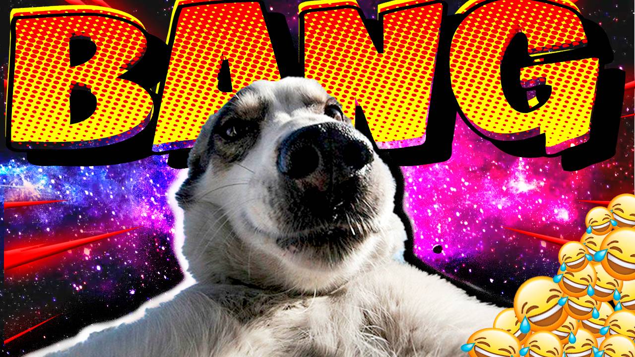 ЛУЧШИЕ ПРИКОЛЫ МАЙ 2025 | ПОПРОБУЙ НЕ ЗАСМЕЯТЬСЯ | ТЕСТ НА ПСИХИКУ | РЖАКА ДО СЛЕЗ