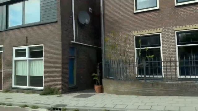 Поля тюльпанов. Нидерланды смотреть онлайн