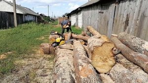 Испытание бензопилы Champion 246