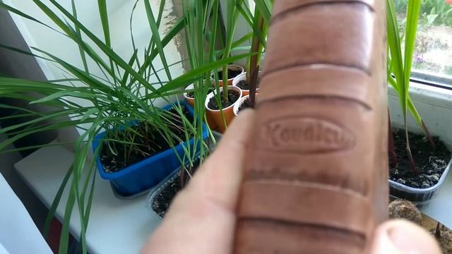 Обложка из кожи с тиснением.
