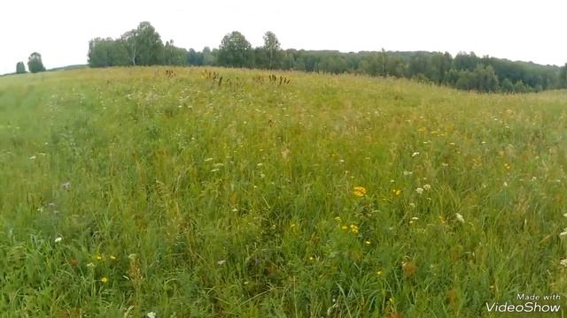 Сенокос 2024. Выехал косить дальние участки. смотреть онлайн